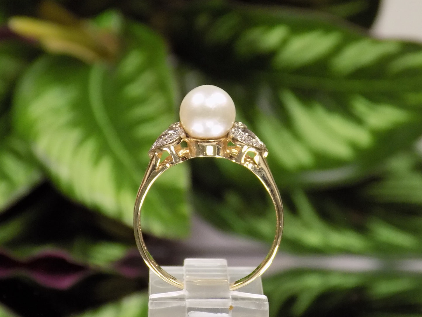 7.5mm Estate Akoya Cultured Pearl & Diamond Ring in 14K Yellow Gold from our Estate Collection - Like New!